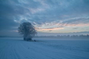 Morgenlandschaft im Winter