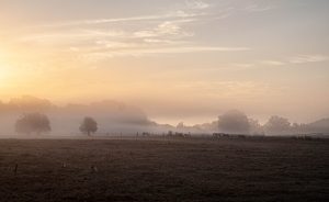 Erwachen des Tages