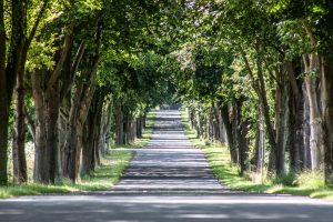 Sommerallee